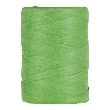 PAPER RAPHIA 5/8mm x 100m APPLE GREEN (1pz)