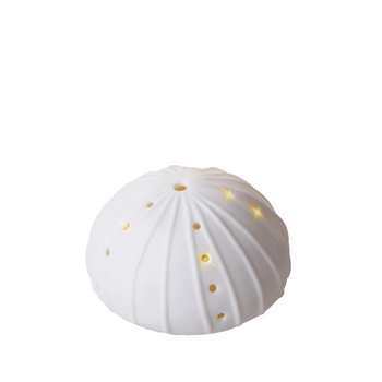 ANEMONE CON LUCE 8.5cm (1pz)