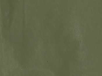 BOBINA CARTA PE-PAPER F/PIENO VERDE MANDORLA 1X25m