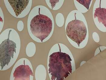 BOBINA PPL MAPLE CAPPUCCINO 1X25m