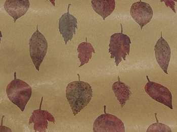 BOBINA CARTA PE-PAPER MAPLE NEUTRO 1X25m