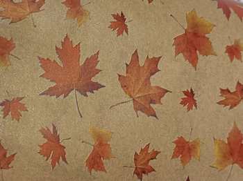 BOBINA CARTA PE-PAPER SLOWLY AUTUNNO 1X25m