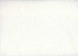 *CARTA DI RISO SILK 65X95 25g BIANCA (1pz)