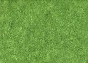 *CARTA DI RISO SILK 65X95 25g VERDE MUSCHIO (1pz)