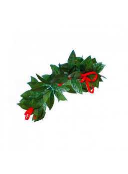 CORONA ALLORO PER LAUREA