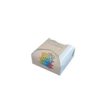 SCT21SD2.jpg