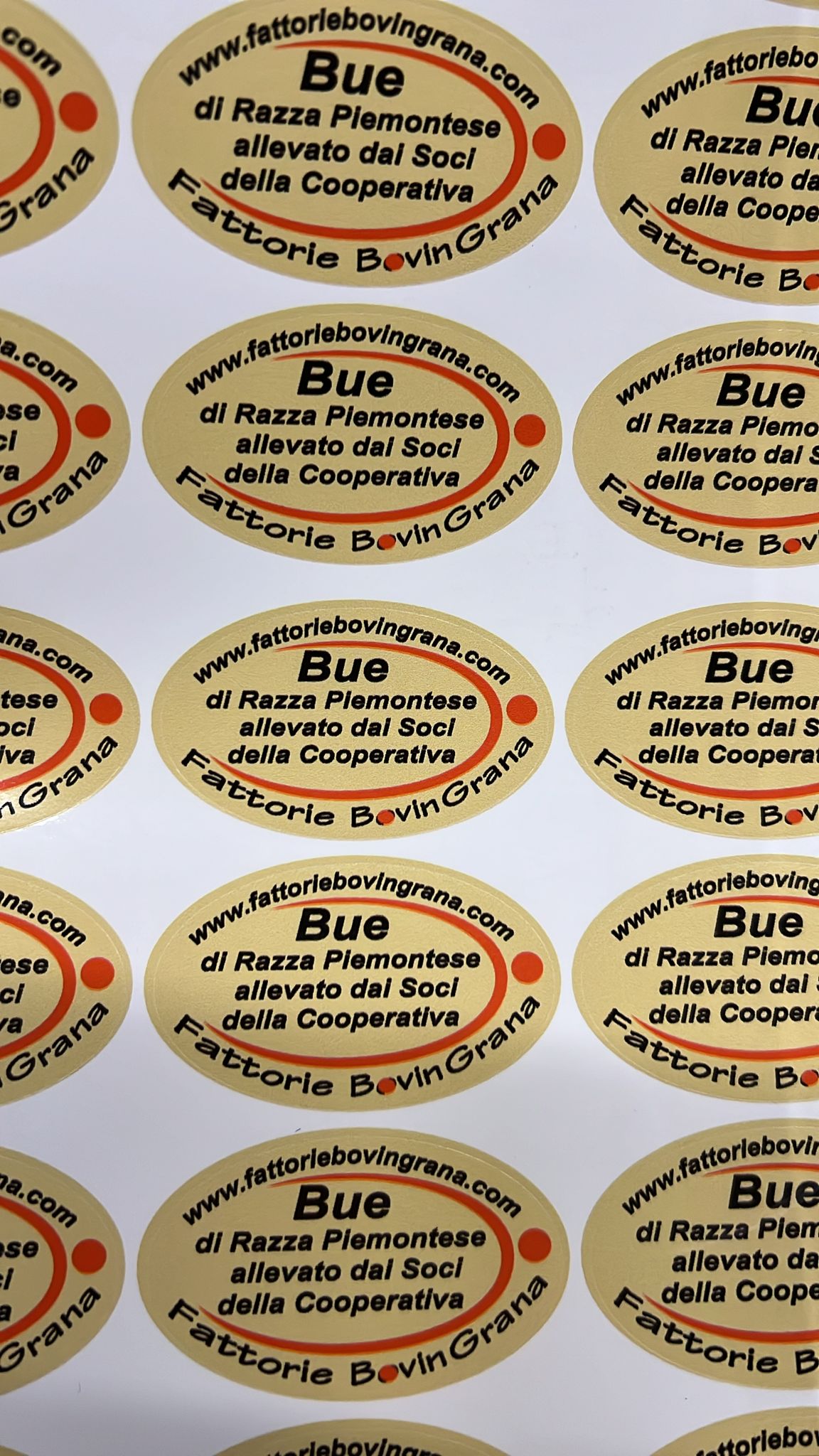 ETICHETTA STAMPA PERSONALIZZATA (1mq)